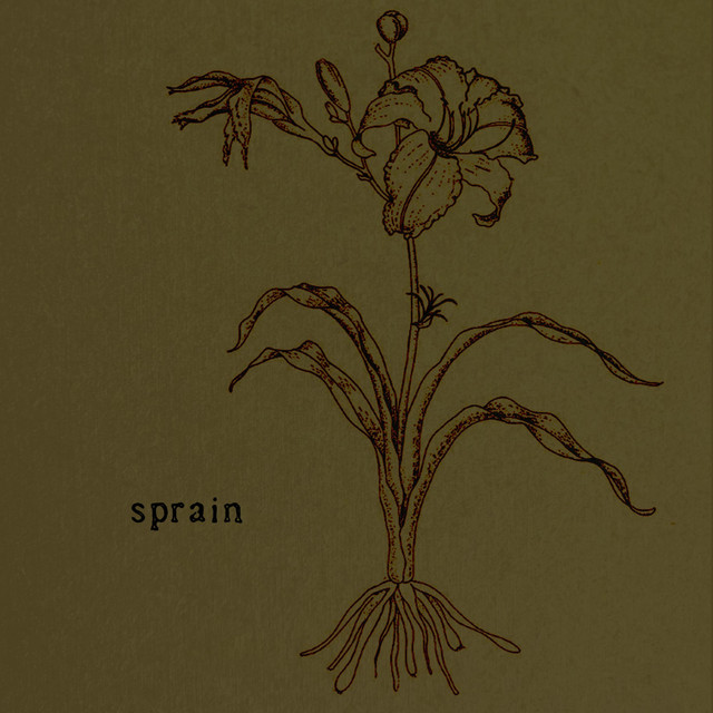 Sprain cover art