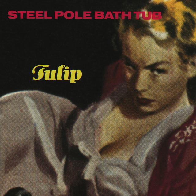 Tulip cover art