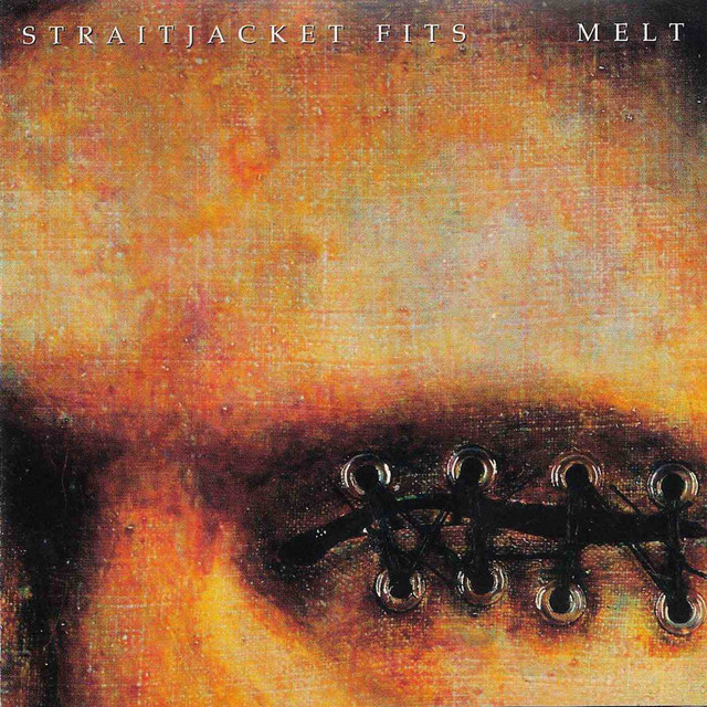 Melt cover art