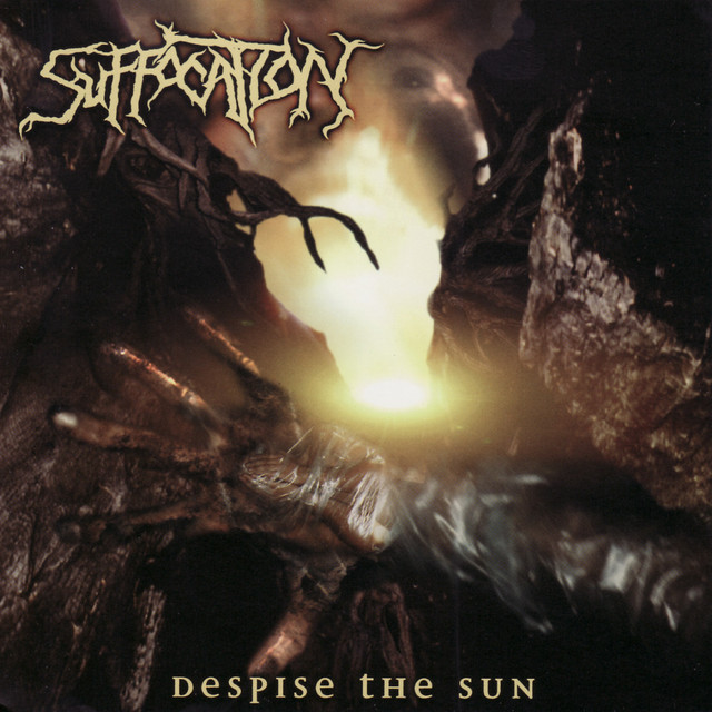 Despise the Sun cover art