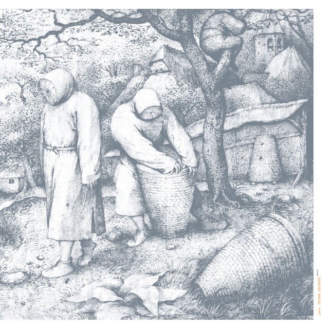 White2 cover art