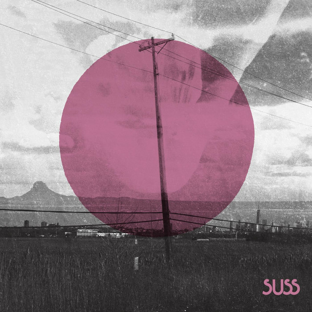 Wetlands cover art