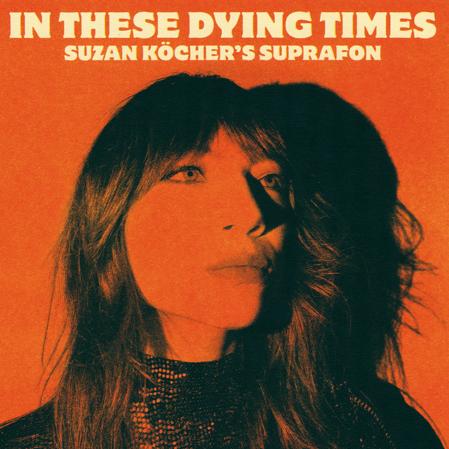 In These Dying Times cover art