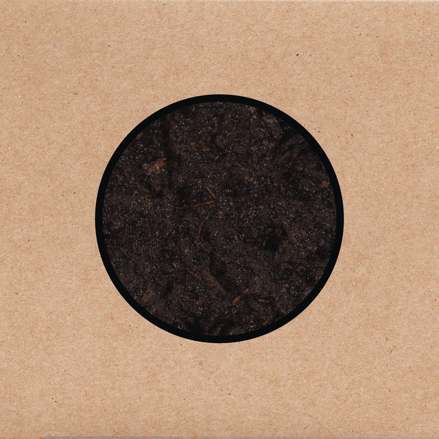 Birthing cover art