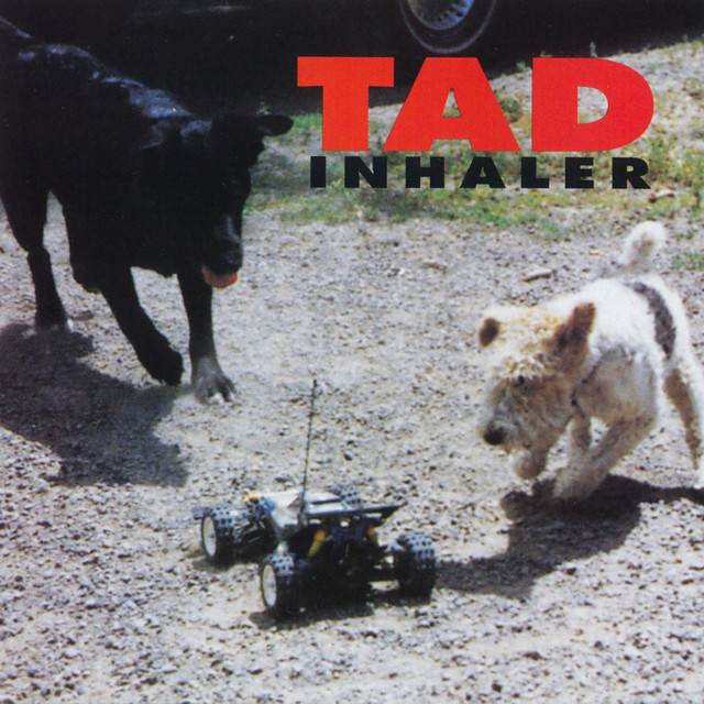 Inhaler cover art