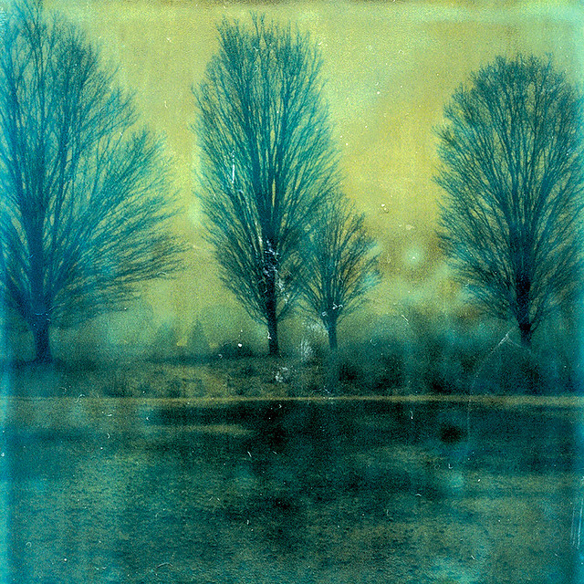 Snow (Dusk, Dawn) cover art