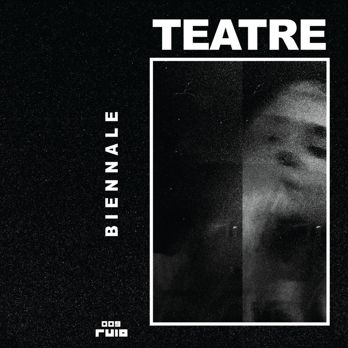 Biennale cover art