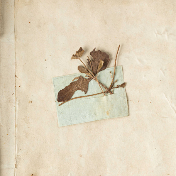 Priešistorė cover art