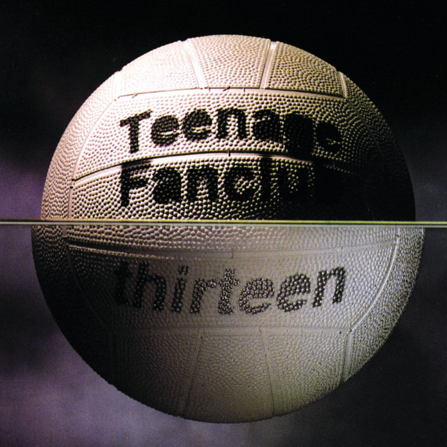 Thirteen cover art