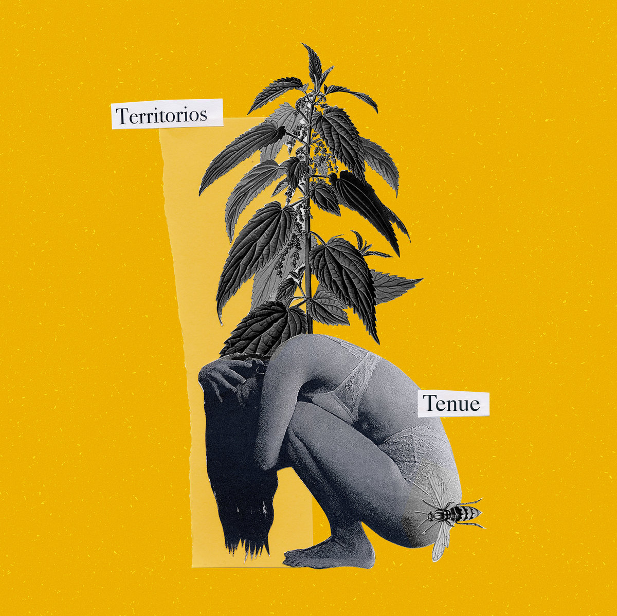 Territorios cover art