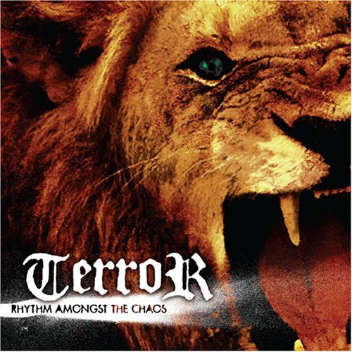 Rhythm Amongst the Chaos cover art