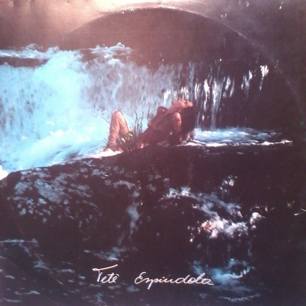 Pássaros na garganta cover art