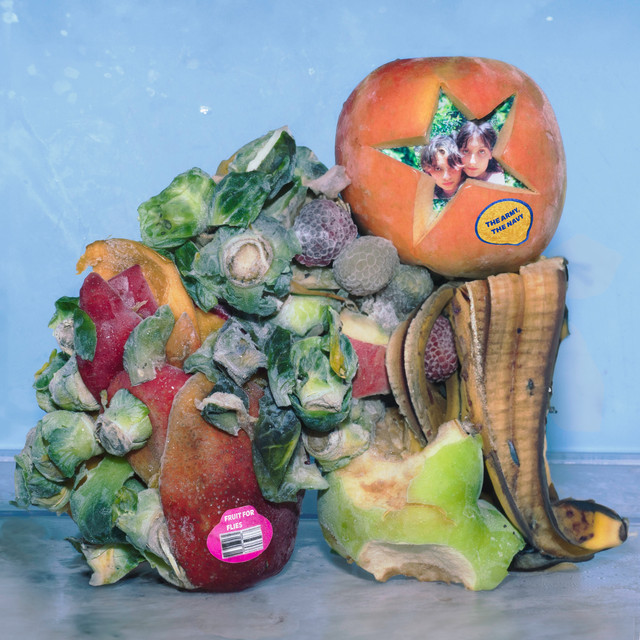 Fruit for Flies cover art