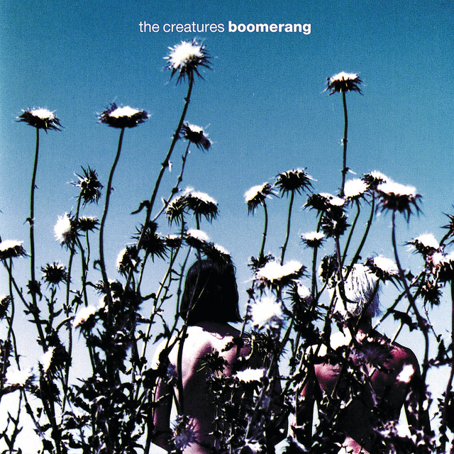 Boomerang cover art