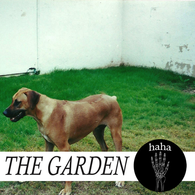 haha cover art