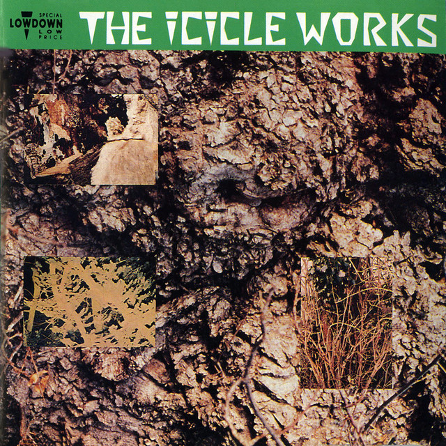 The Icicle Works cover art