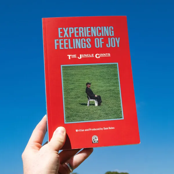 Experiencing Feelings of Joy cover art