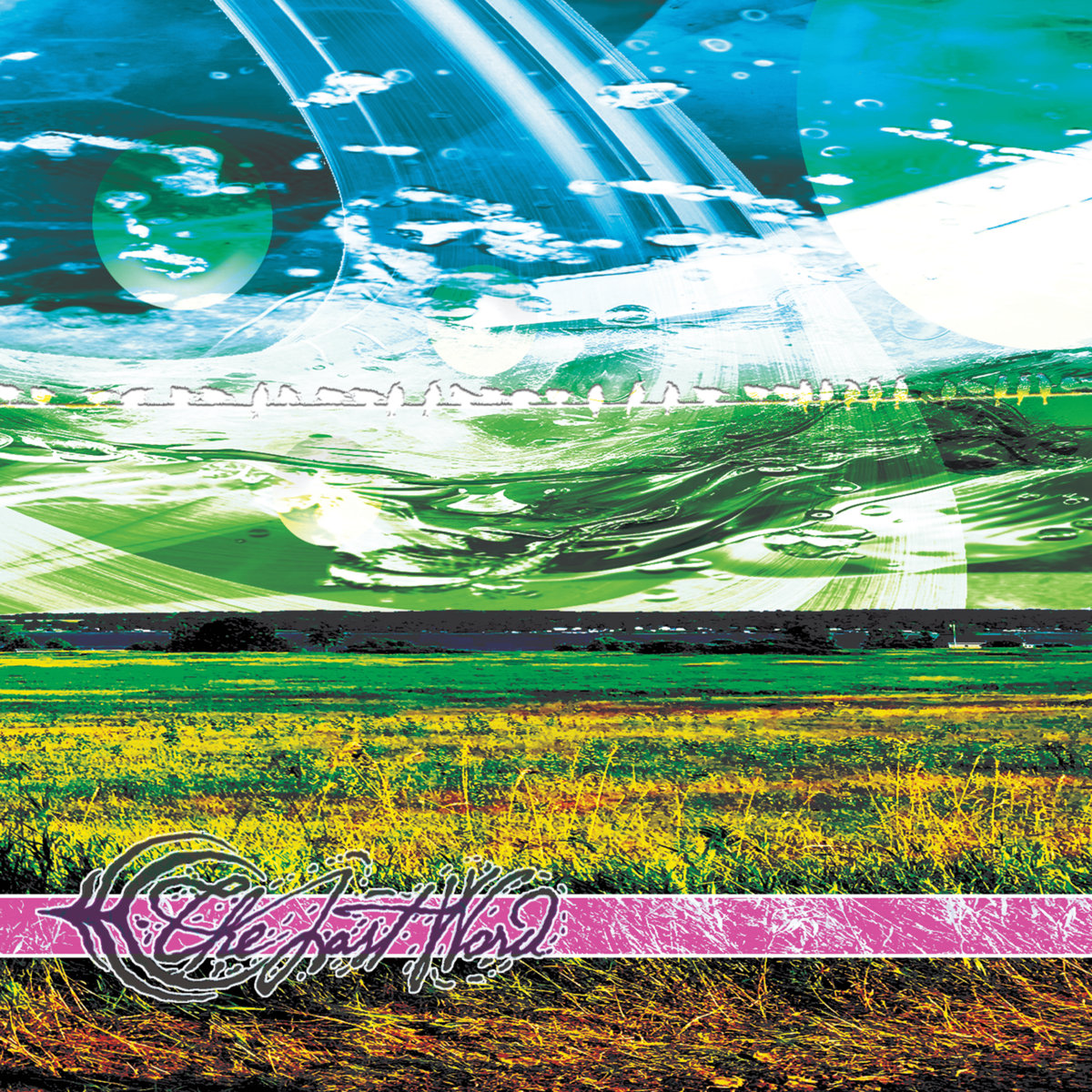 The Last Word cover art