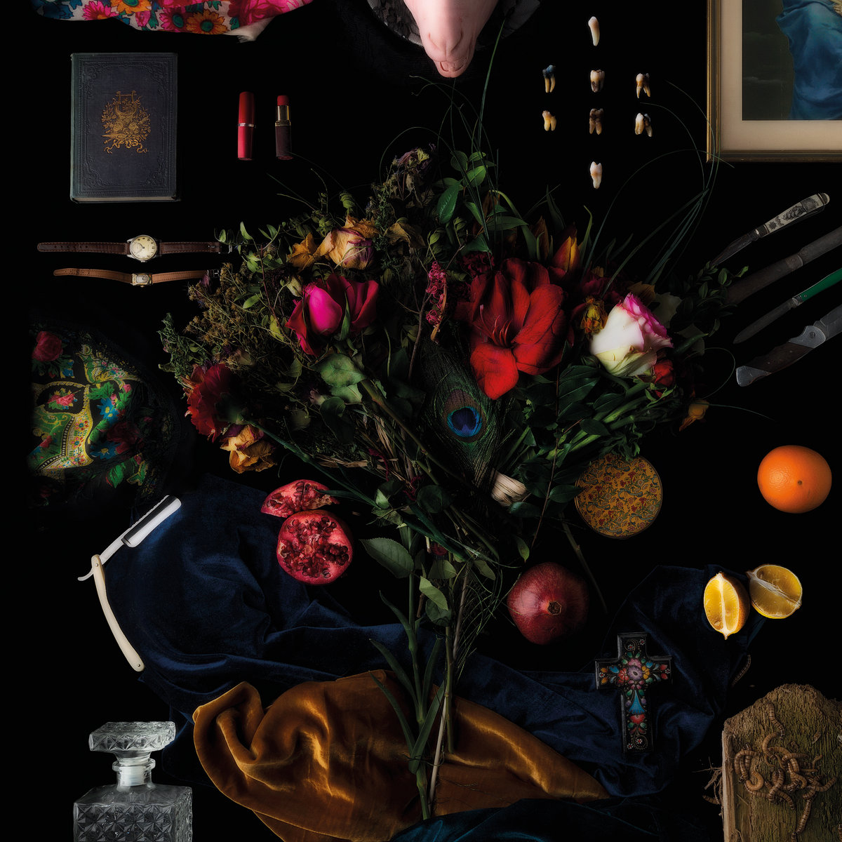 Amer cover art