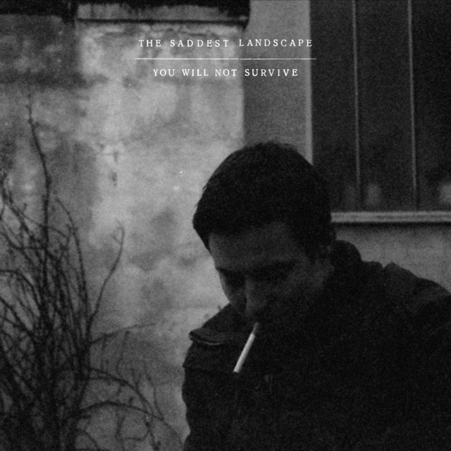 You Will Not Survive cover art