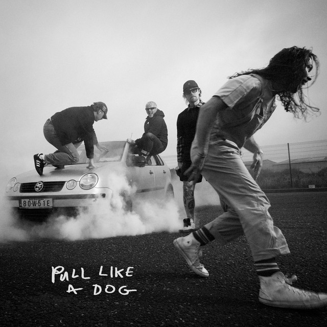 Pull Like a Dog cover art