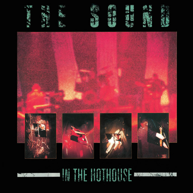In the Hothouse cover art