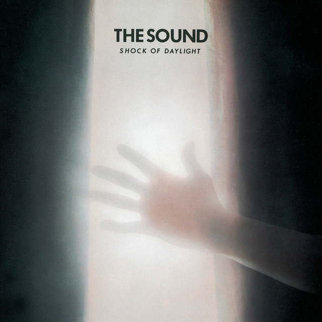 Shock of Daylight cover art