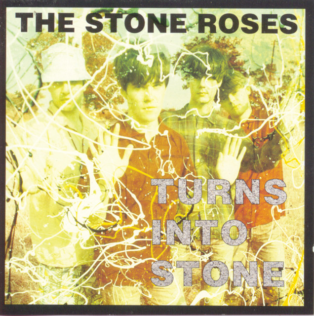 Turns Into Stone cover art