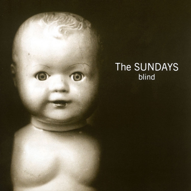 Blind cover art