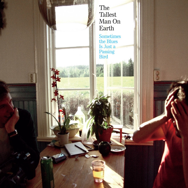 Sometimes the Blues Is Just a Passing Bird cover art