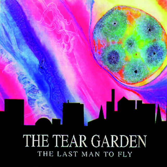 The Last Man to Fly cover art