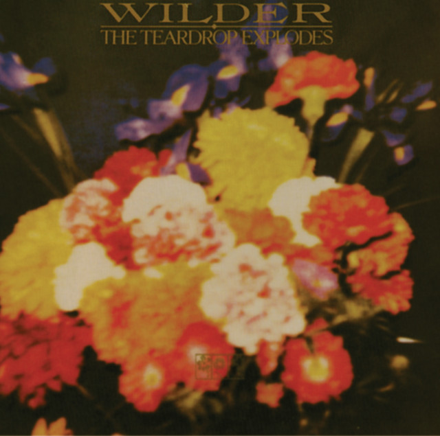 Wilder cover art