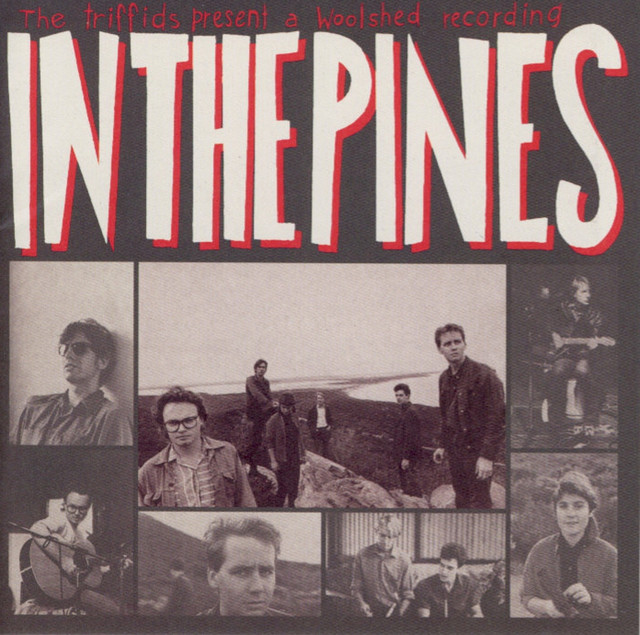 In the Pines cover art