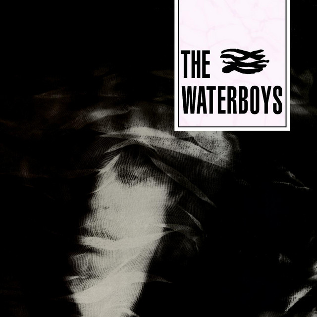 The Waterboys cover art
