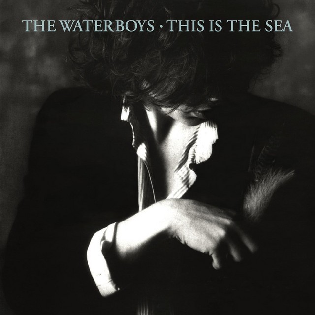 This Is the Sea cover art