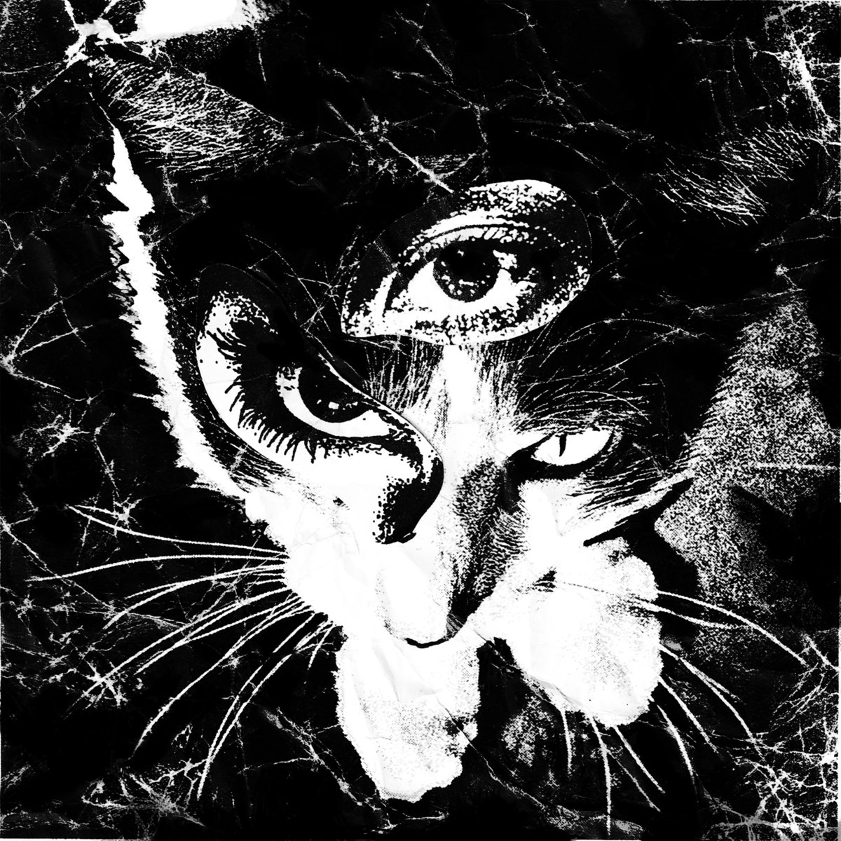 Remains cover art