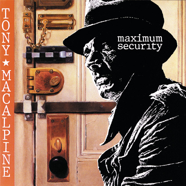 Maximum Security cover art