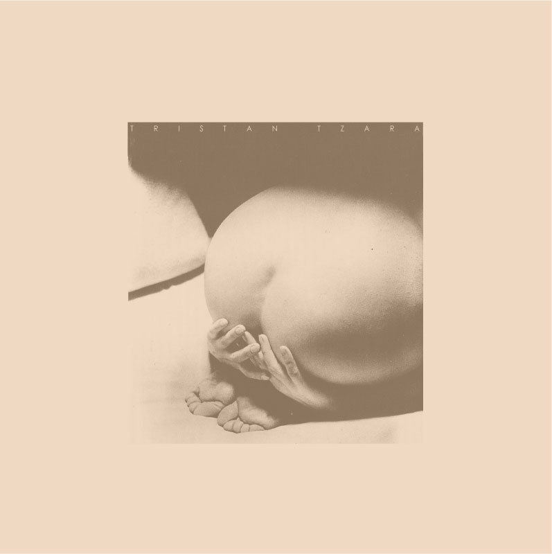 Omorina nad Evropom cover art