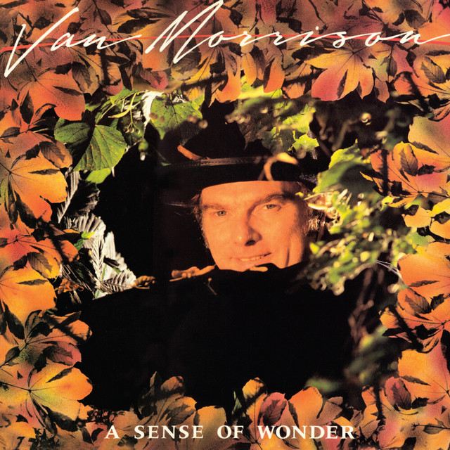 A Sense of Wonder cover art