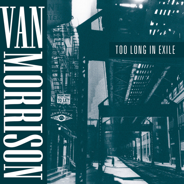 Too Long in Exile cover art