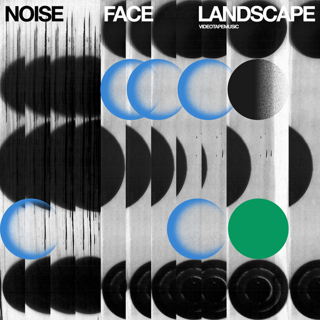 Noise Face Landscape cover art