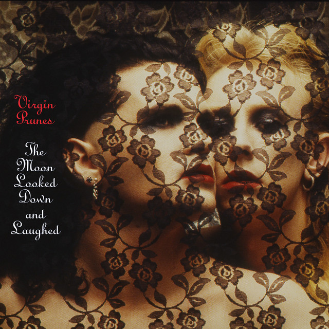 The Moon Looked Down and Laughed cover art