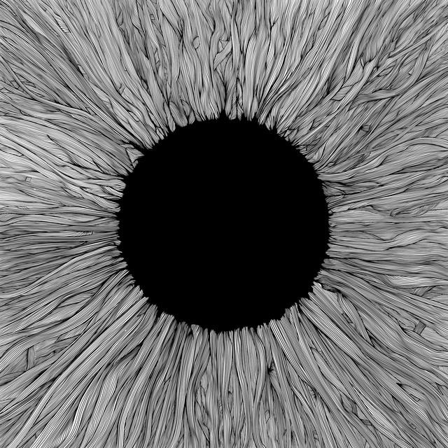 Witness cover art