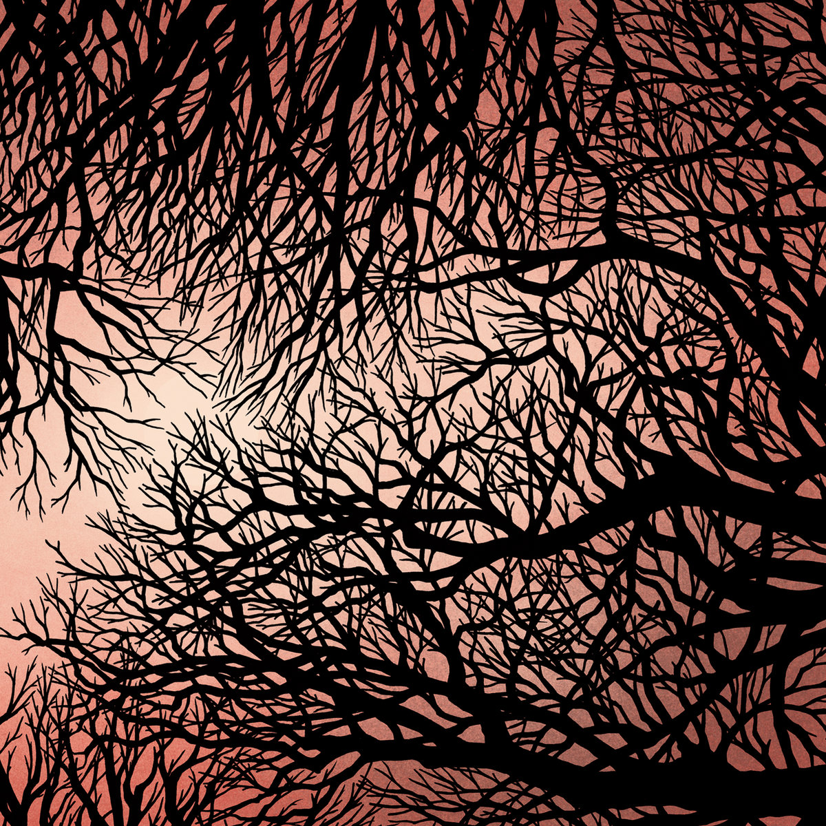 Zimpel/Ziołek cover art