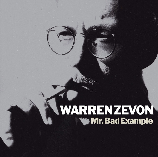 Mr. Bad Example cover art