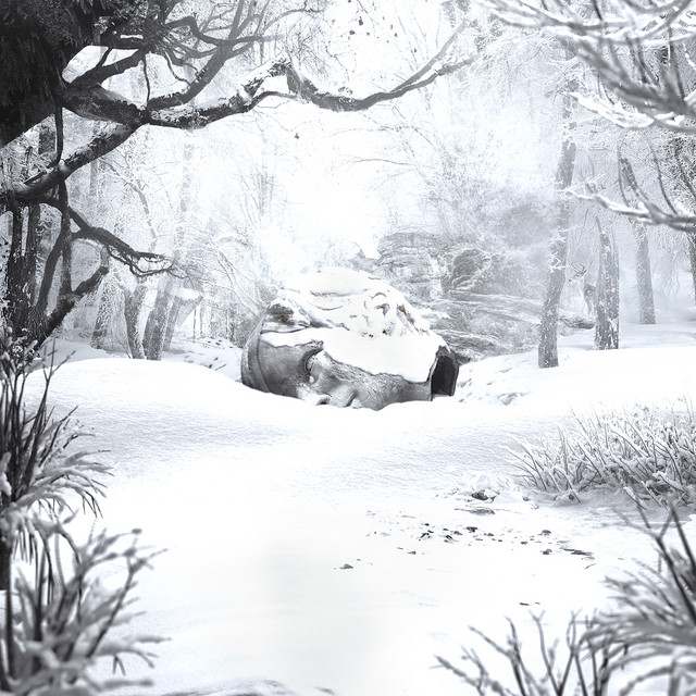 SZNZ: Winter cover art