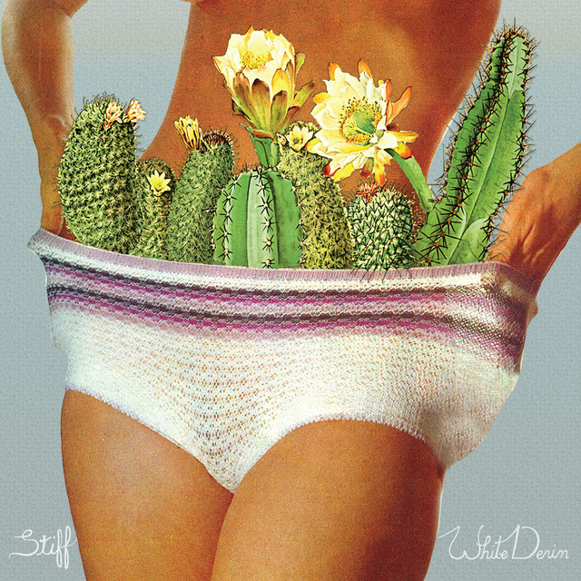 Stiff cover art