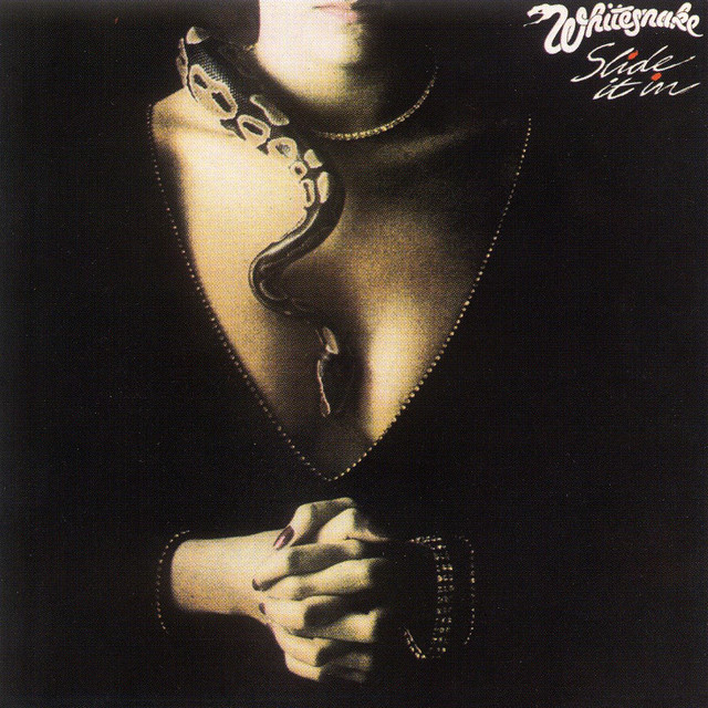 Slide It In cover art