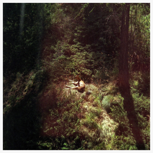 Sings Again cover art