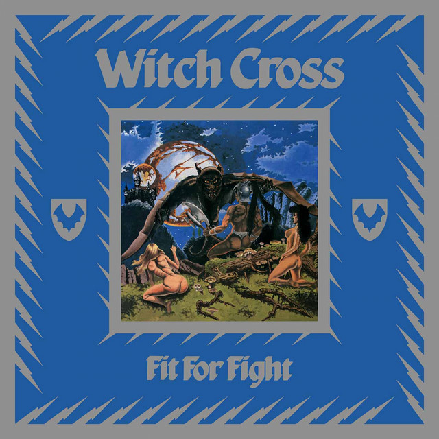 Fit for Fight cover art